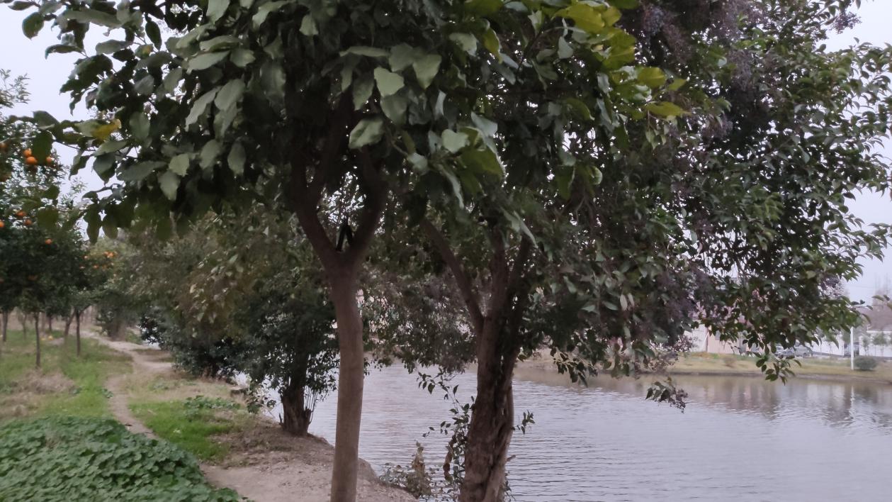 汉道洛克路亚钳,汉道全能工具箱