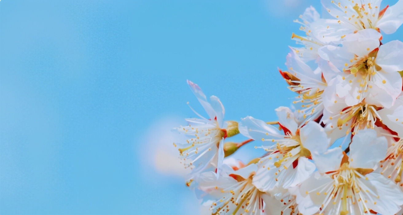 想不动声色地吸引异性,如何不动声色吸引前任