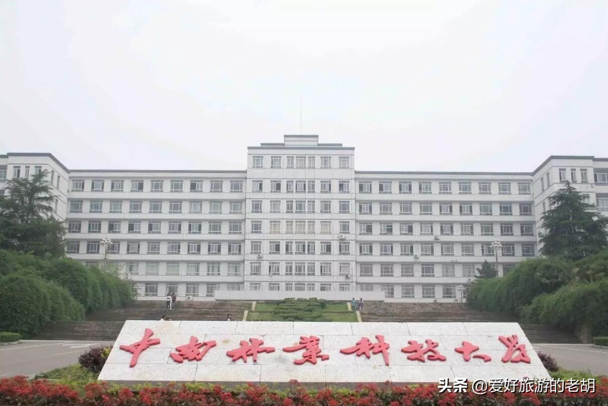 拥有7万多亩林场的湖南高校，校园绿树成荫，因美食闻名全湖南