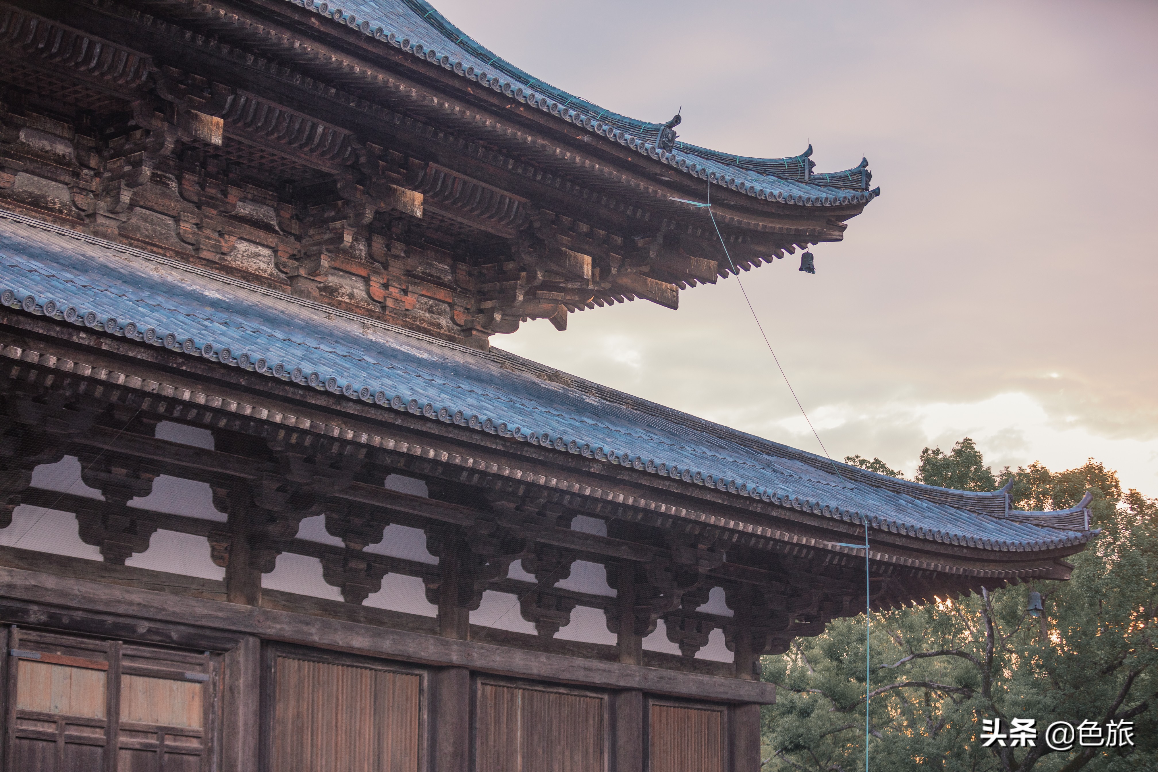 妖猫传日本访唐,妖猫传日本大师