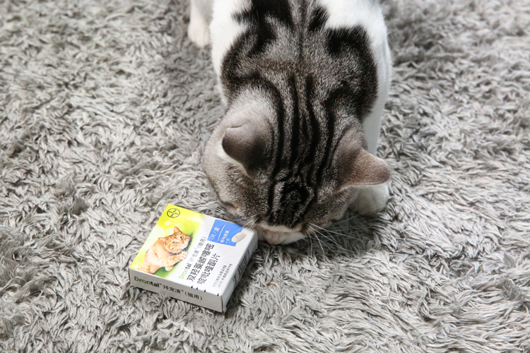 拜宠清驱虫药猫用怎么样,拜耳拜宠清猫驱虫药服用注意事项