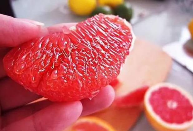 这六种食物一定不要让狗狗吃到,这5种水果别错过