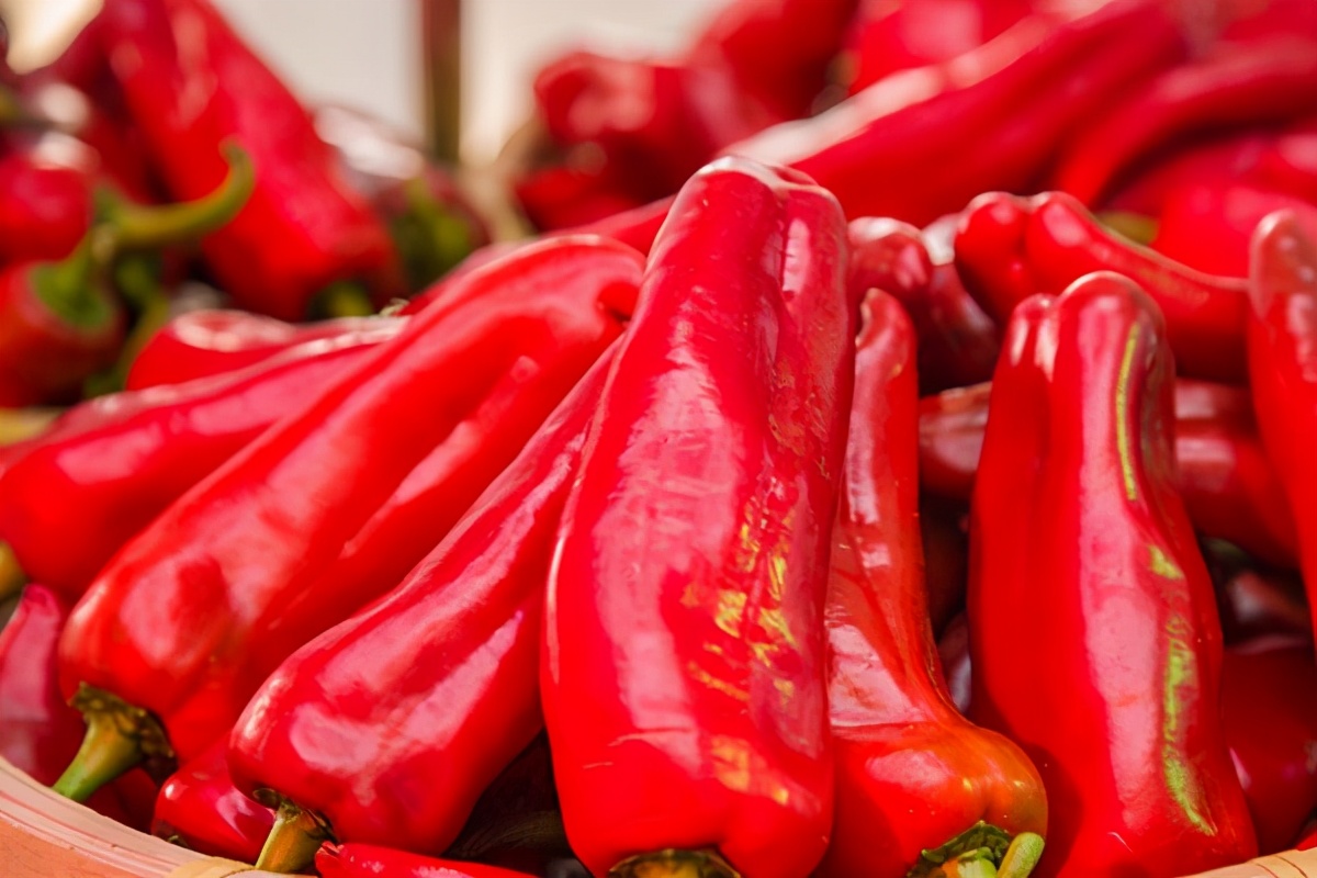 夏天狐臭味道怎么消除,夏天狐臭味很大怎么办用什么药涂