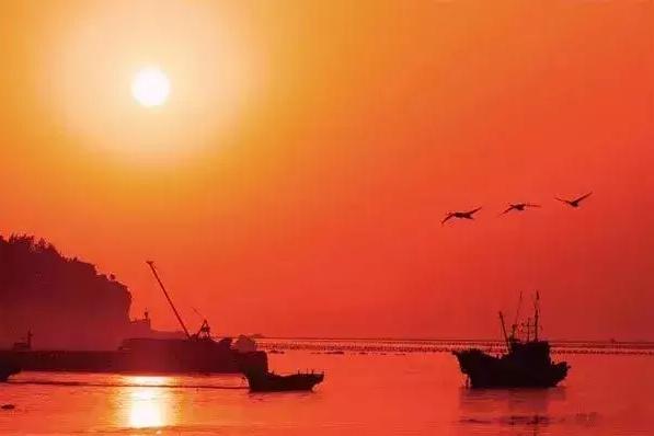 摄影怎么使前景虚化,摄影为照片增添感觉的5个技巧