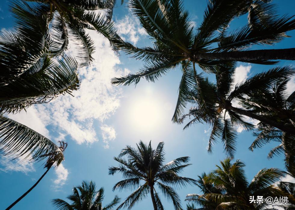 美国各州最富有的镇,美国所有城市最富的是哪个城市