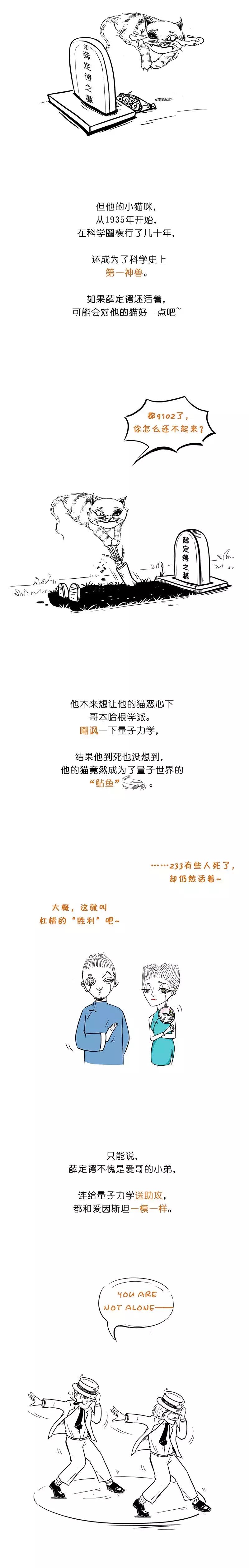 薛定谔的猫最简单最直白的解释,薛定谔的猫和杨氏双缝干涉实验