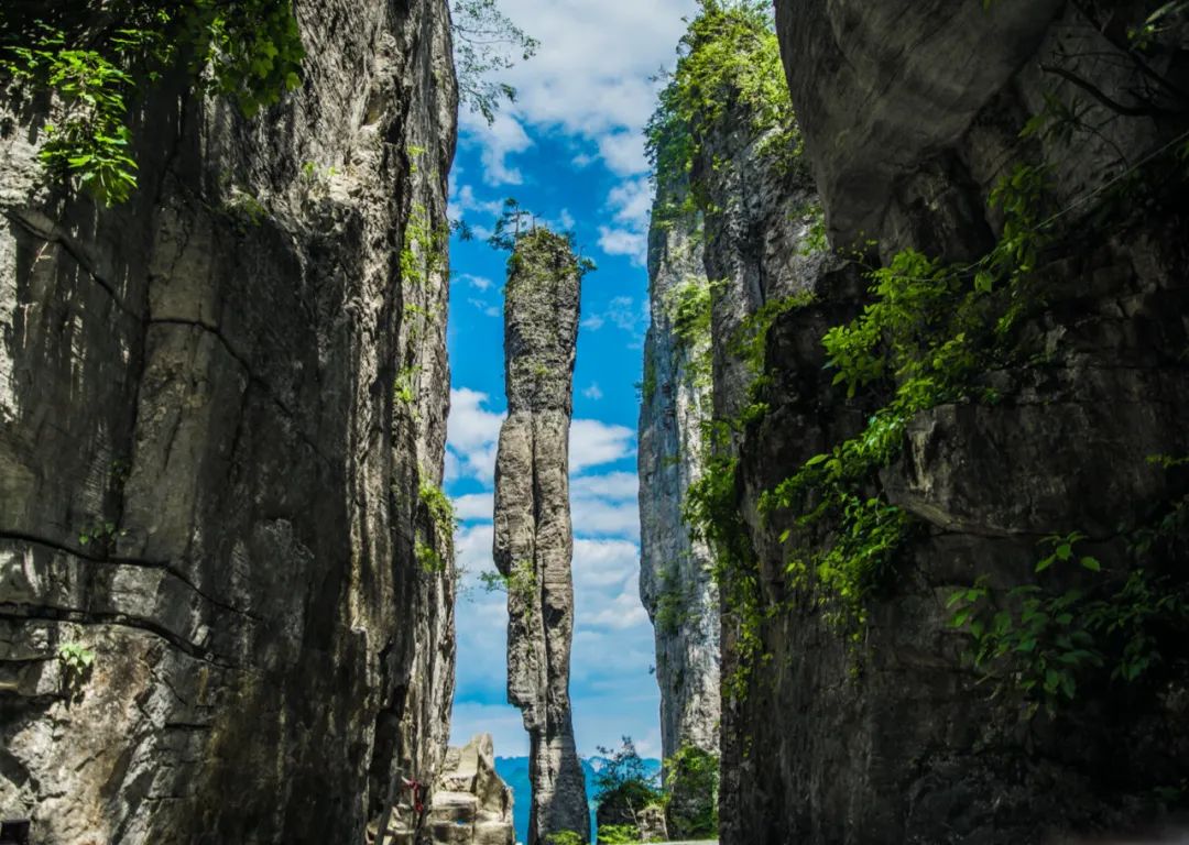 避暑胜地都躲不过45度的高温,避暑胜地美食在哪