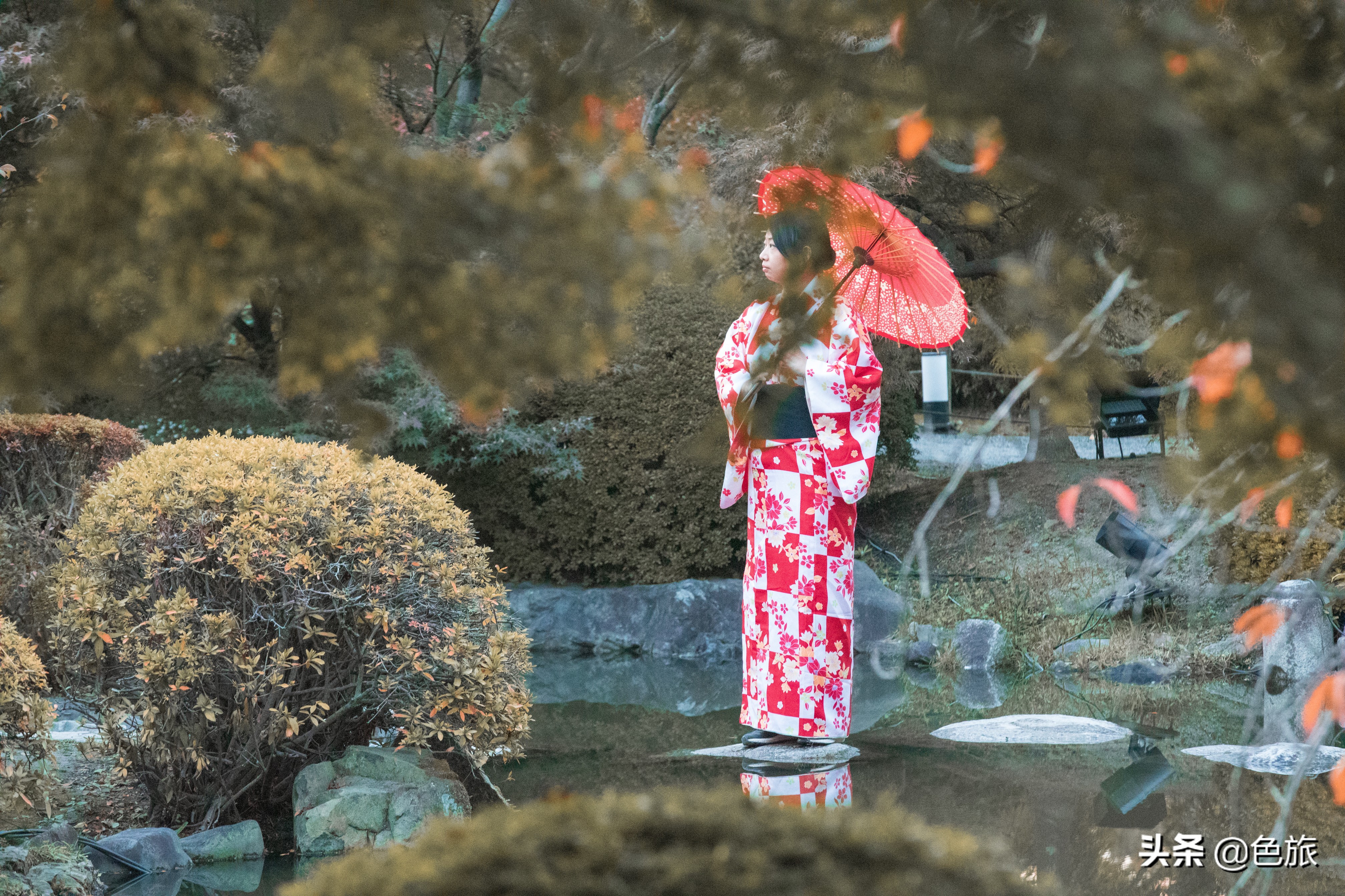 妖猫传日本访唐,妖猫传日本大师