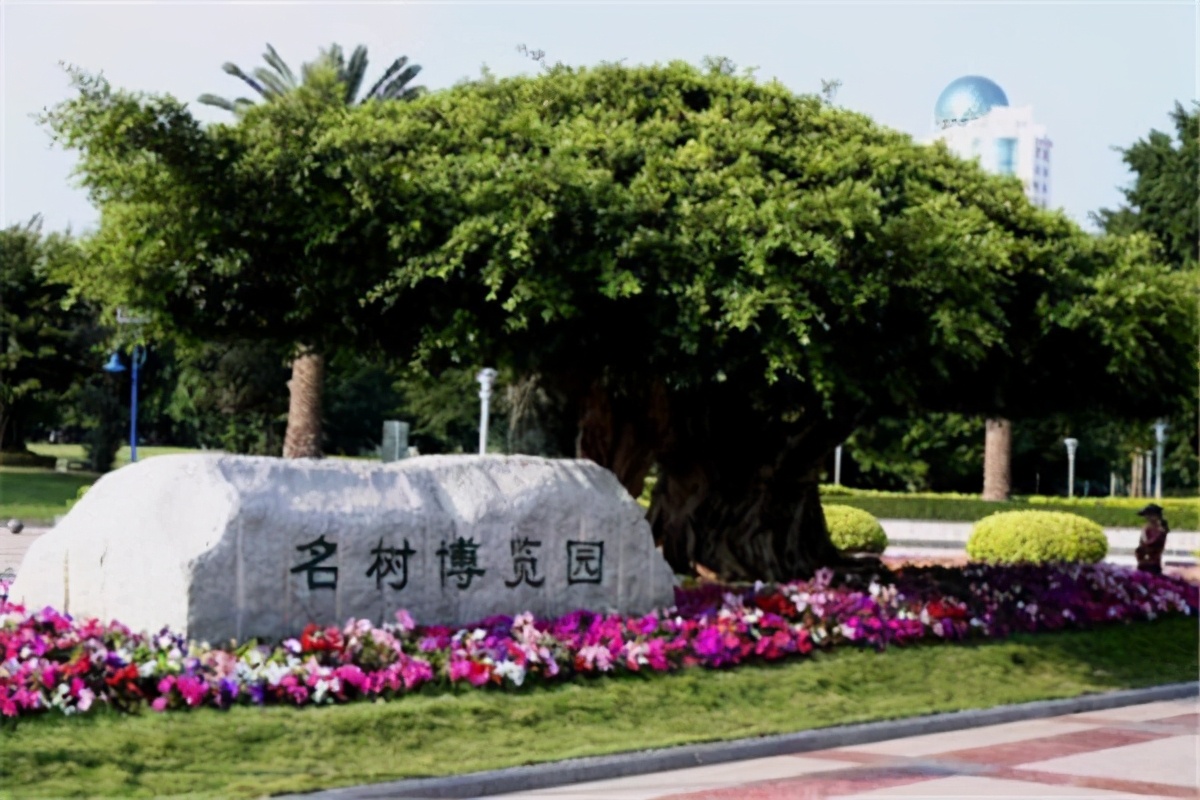 阳江海边旅游攻略路线推荐,楠溪江免费游最佳攻略