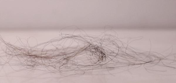 睿米全自动吸尘器评测,睿米吸尘器nex2pro和戴森v10