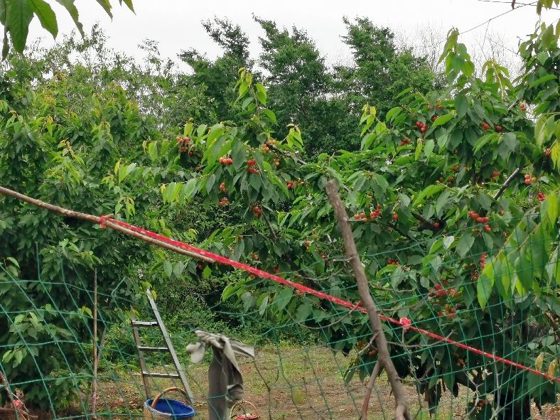 西安洪庆焚书坑儒,洪庆山焚书坑儒