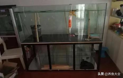 自制生态鱼缸循环系统,自制鱼缸底滤视频教程