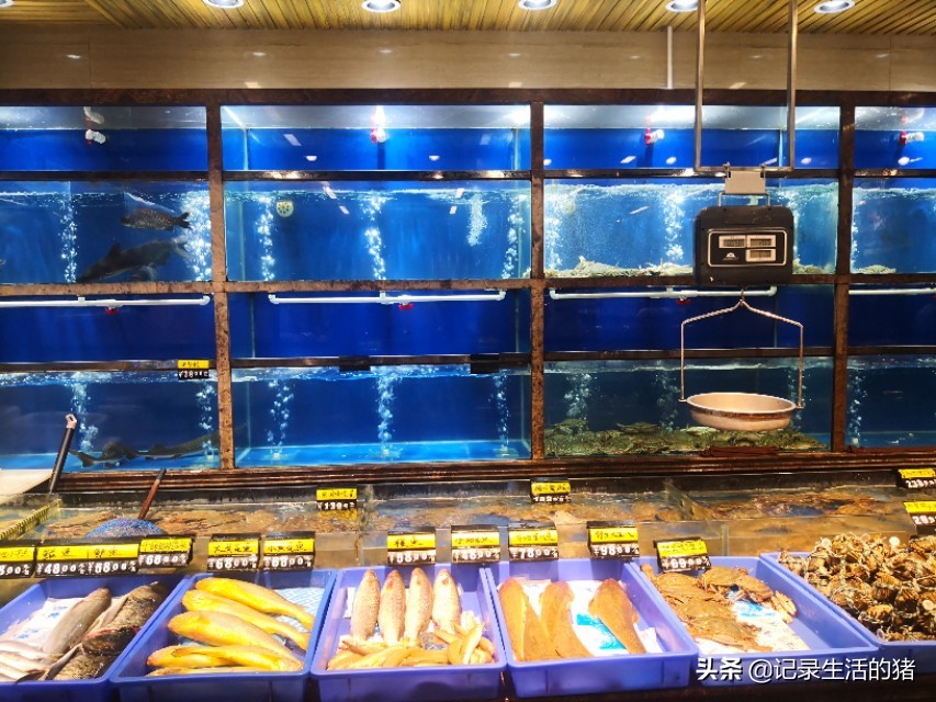 周末北京出发吃海鲜,北京自助游最好去哪儿吃海鲜