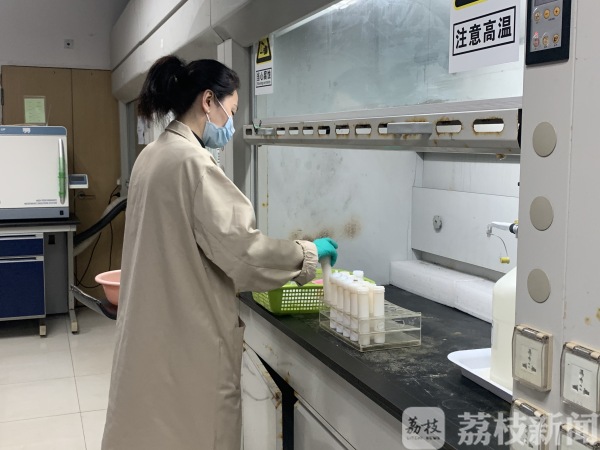 鱼头虾头可以吃吗听听专家怎么说,虾头虾尾能吃吗