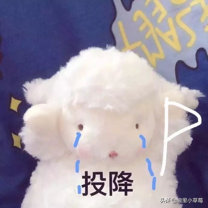 双十一雅诗兰黛怎么买划算,双十一雅诗兰黛沁水购买攻略