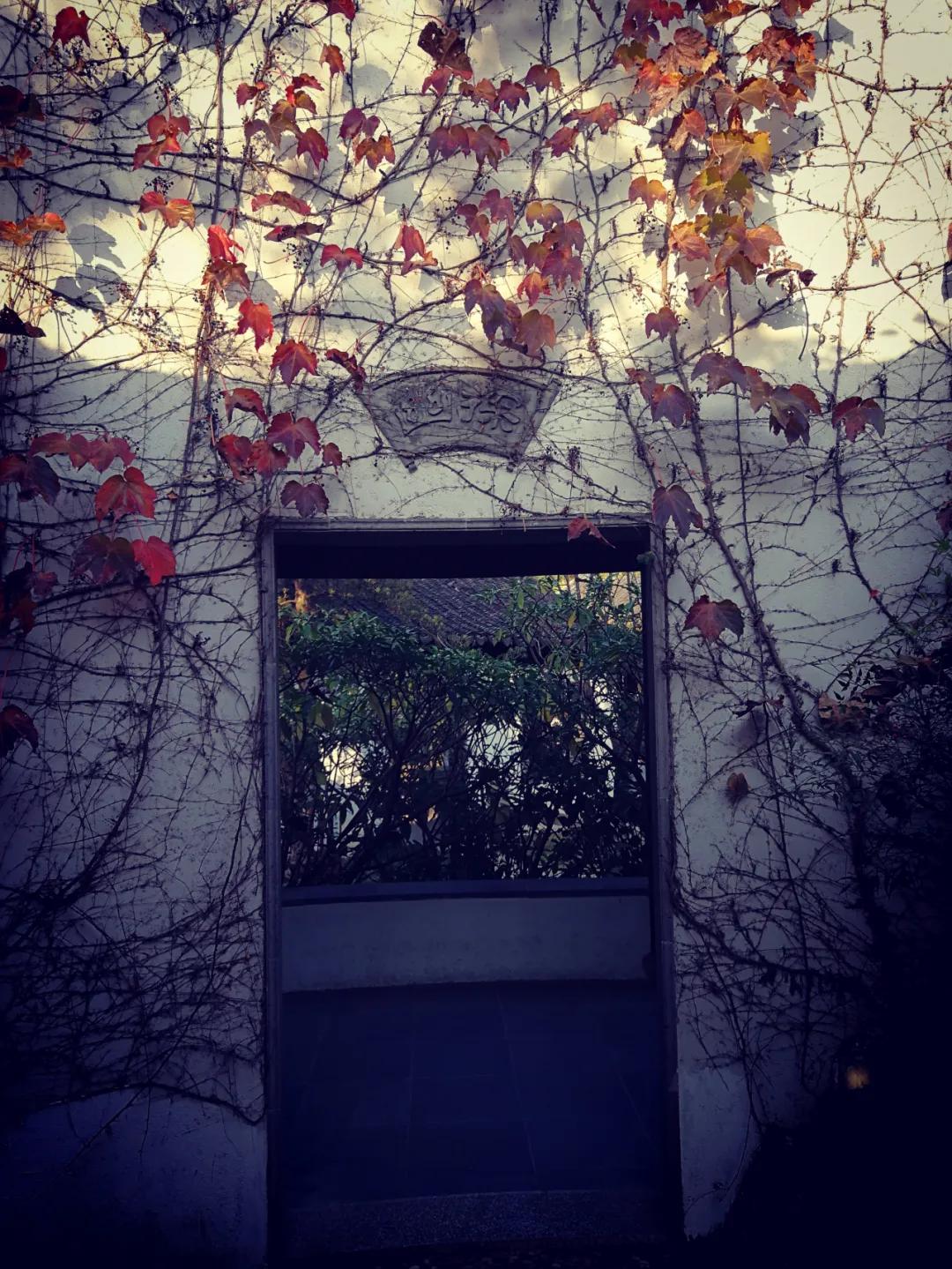 上海启庐太湖启园,太湖启园门票最新消息