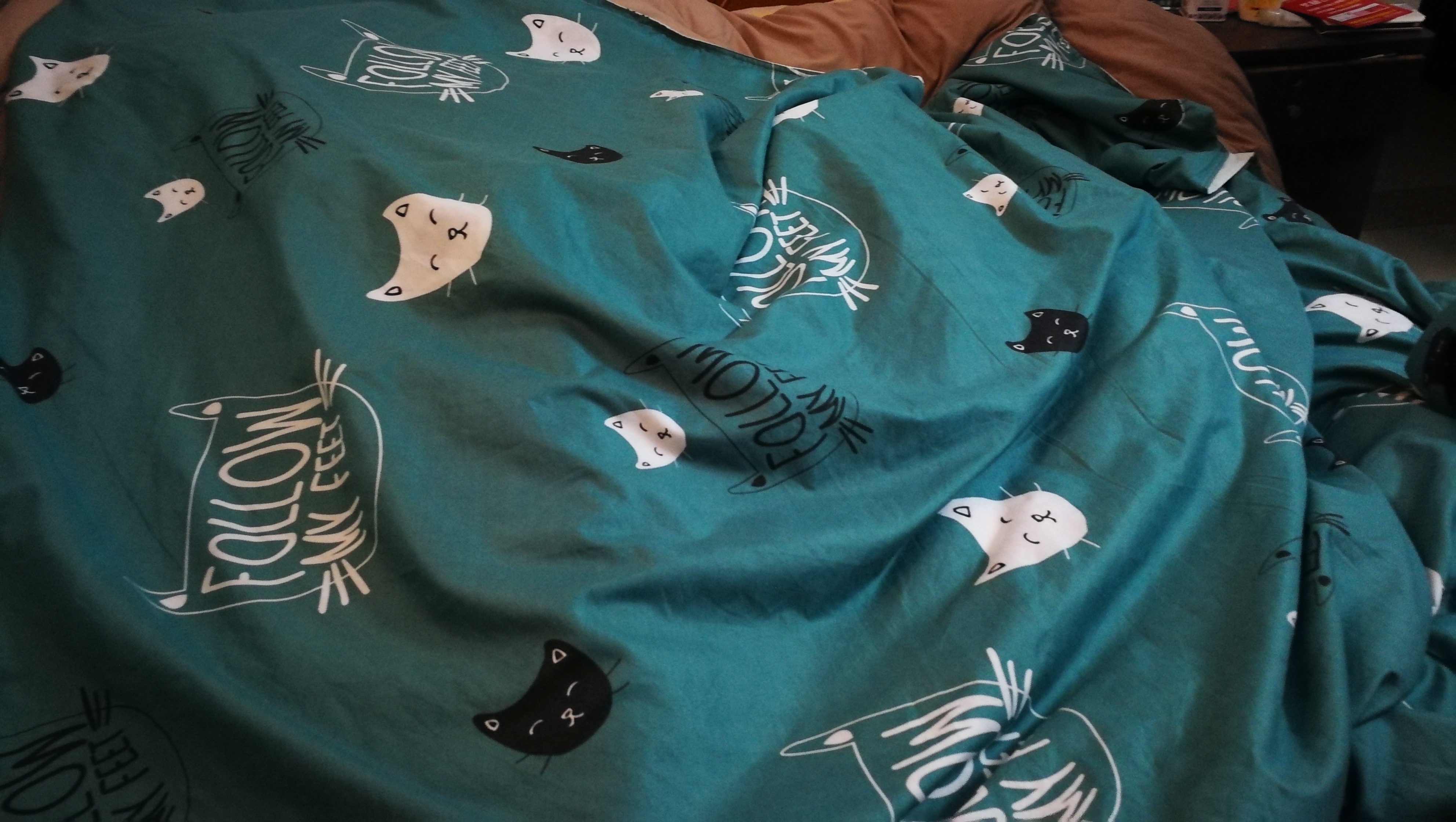 今冬只能自己装棉被了，鸡手鸭脚，还有更难看的吗？