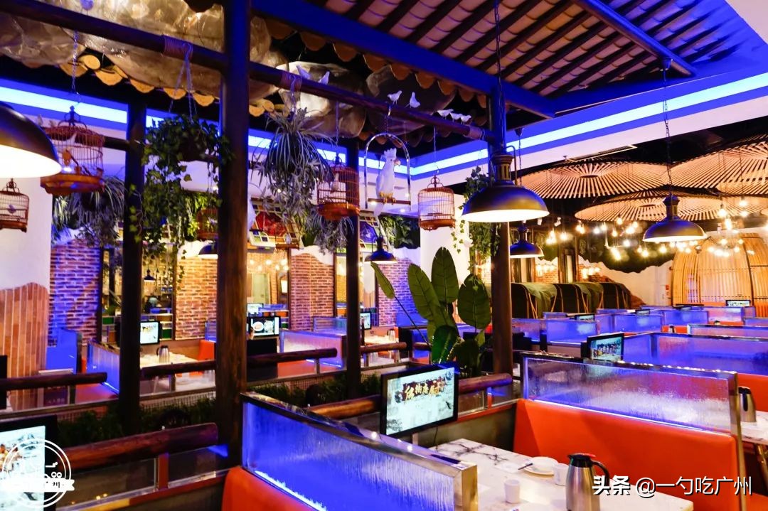 能吃*摸自**十三幺的粤菜馆，一个人来店里要吃四缸，都还不过瘾