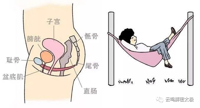 开胯和松胯的特殊方法,髋关节,骶骨,尾骨,腰关节的详细介绍