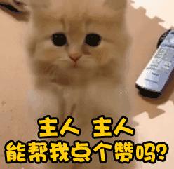 三款口碑都很好的洗面奶实测感受,真正的氨基酸洗面奶真实测评