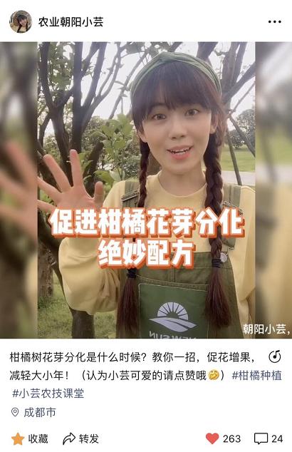 农业经济新风口,农业迎来新风口