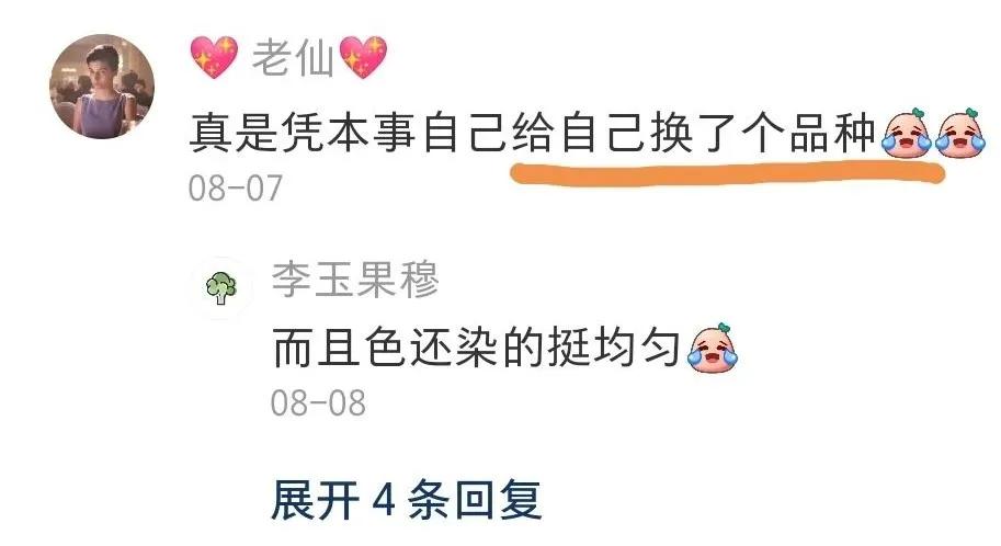 全球罕见足球猫冲上热搜,网友:指定染色!结果......哈哈哈哈