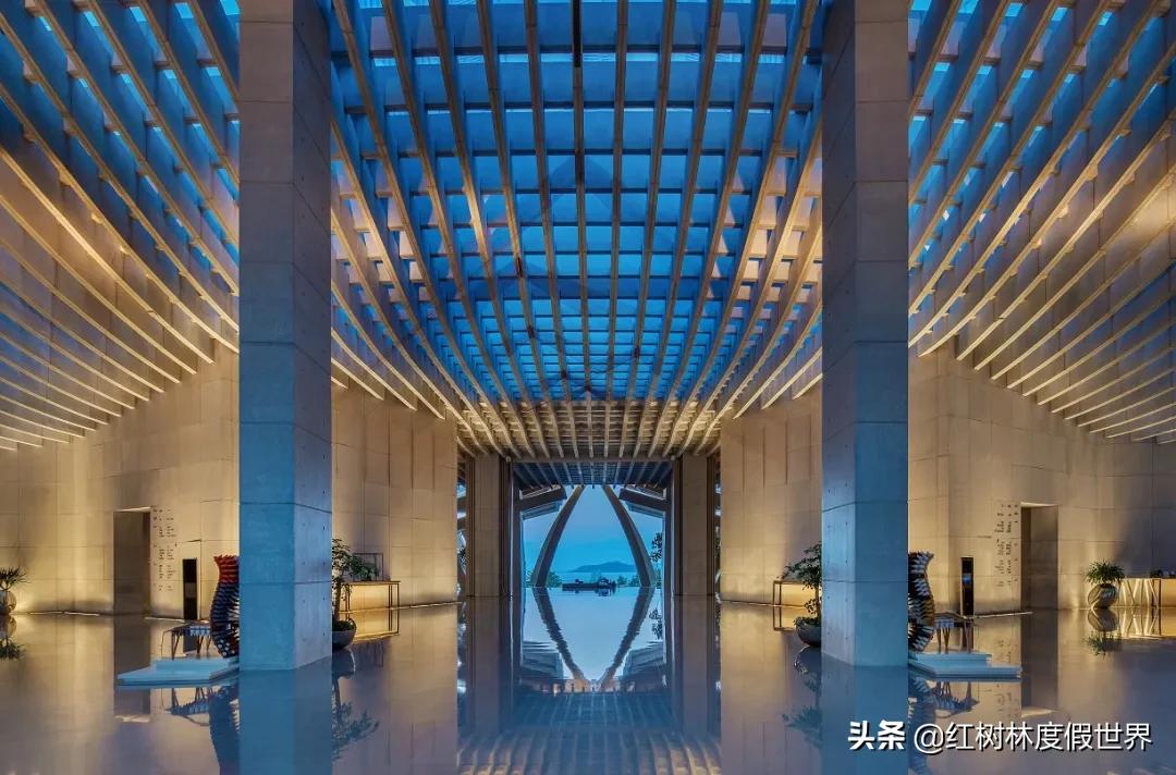 逃离北方的寒冷,逃离北方森林