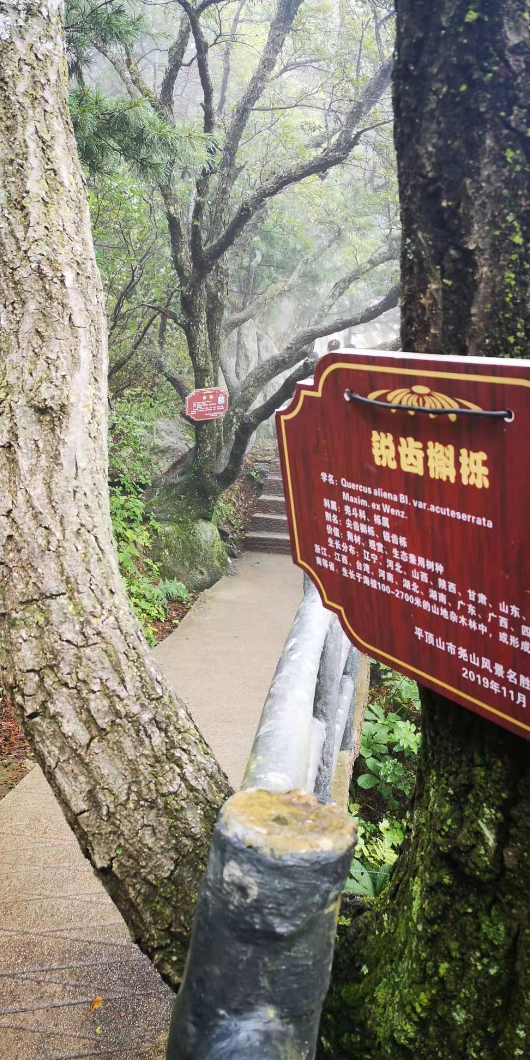 河南尧山风景区游览图片大全集,河南尧山特色风景区有哪些景点