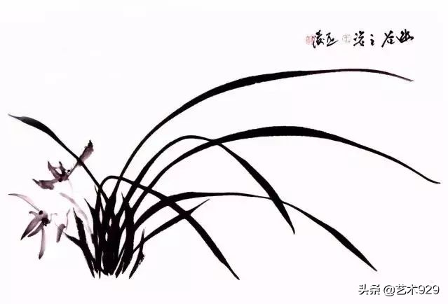 国画兰花的画法太棒了简单易学,泰国兰花绘画技法