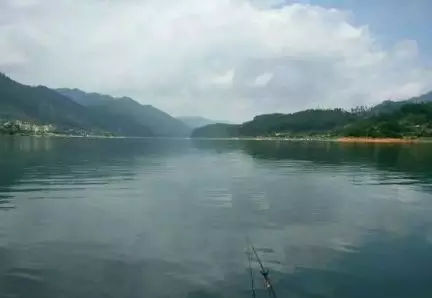 别再天天求秘方了！相同的饵料为什么别人就是钓的更多