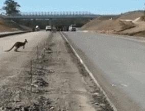 如何看supreme真假辨别,如何辨别supreme真假