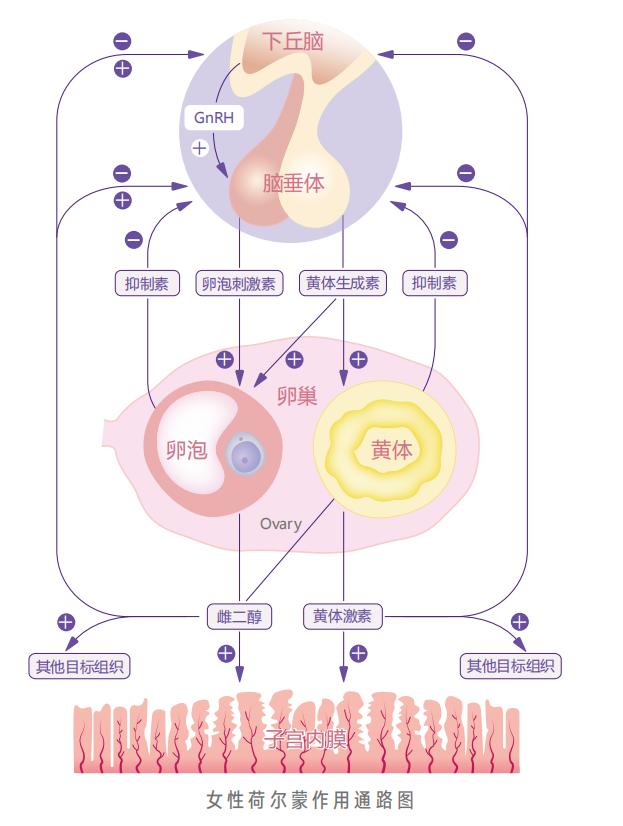 十堰太和医院服务哪些地区,十堰太和医院新院区在哪里