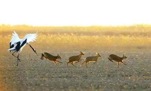 足不出门，在家逛遍中国55处世界遗产！（下）