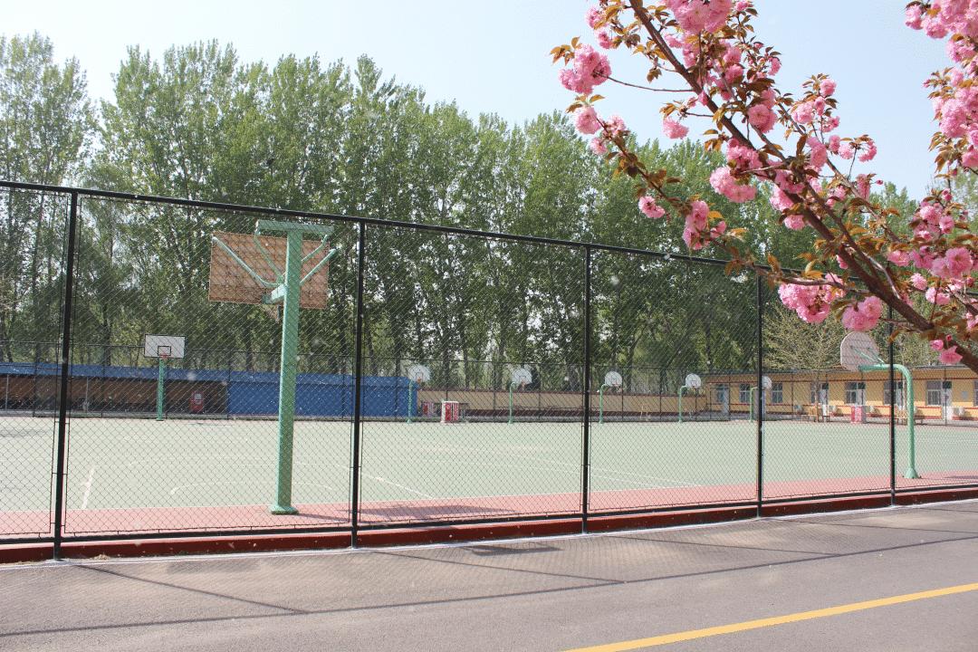 最美校园获奖照片,喜报学校荣获全面优胜单位