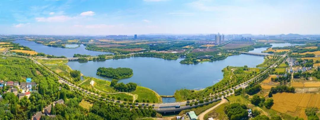 万科是怎样活下去的,万科地产优等生