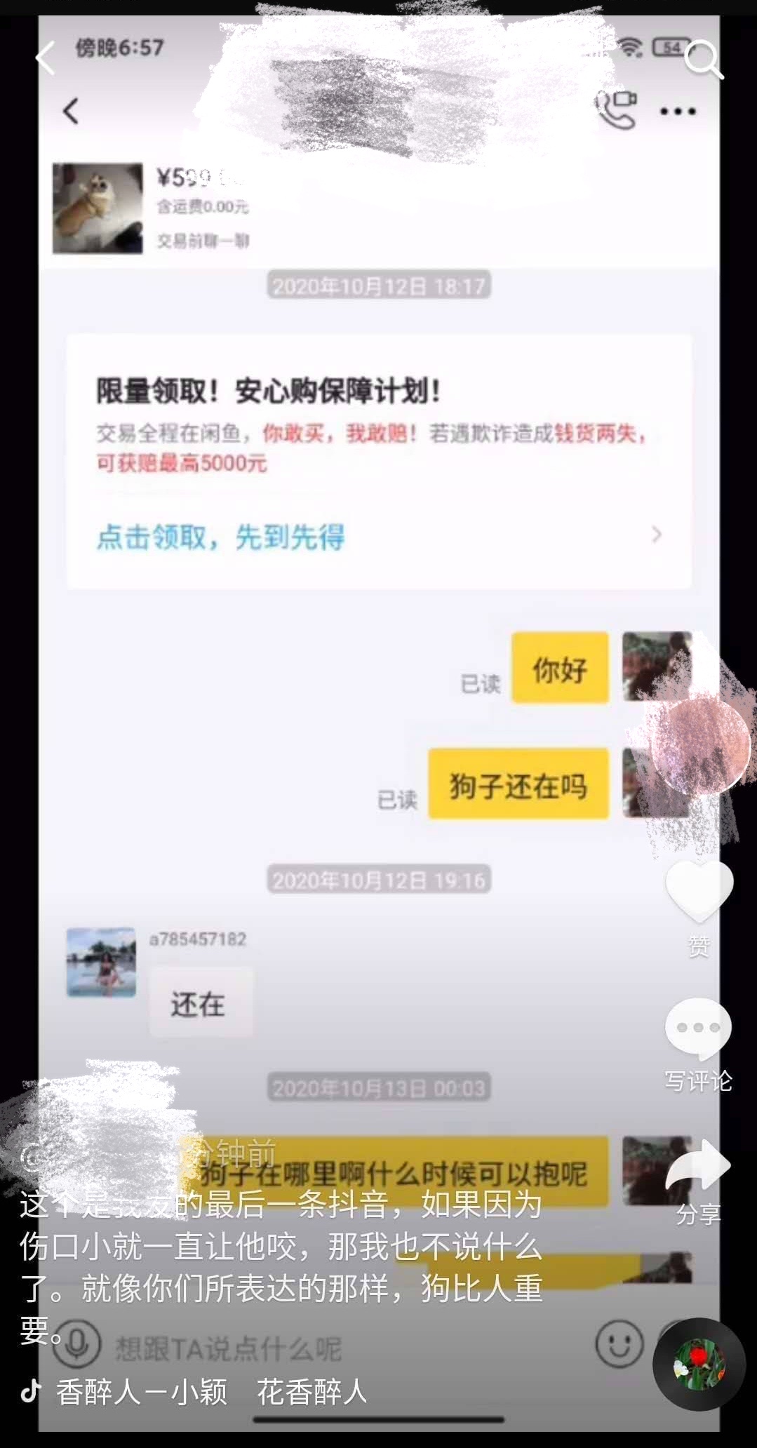 养了多年的狗被卖掉,养了两年的狗被原主人要回去