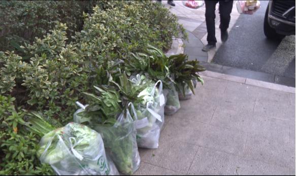 浙江省疫情防控物资,浙江疫情防控期间物资采购