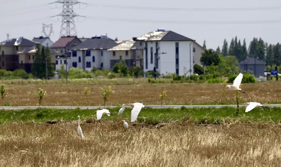 未来的杭州西湖,浙江杭州新西湖