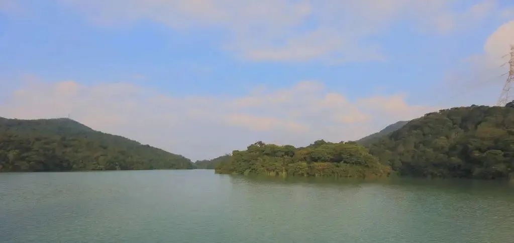 怎么让大脑不胡思乱想注意力集中,如何让大脑不胡思乱想防止失眠