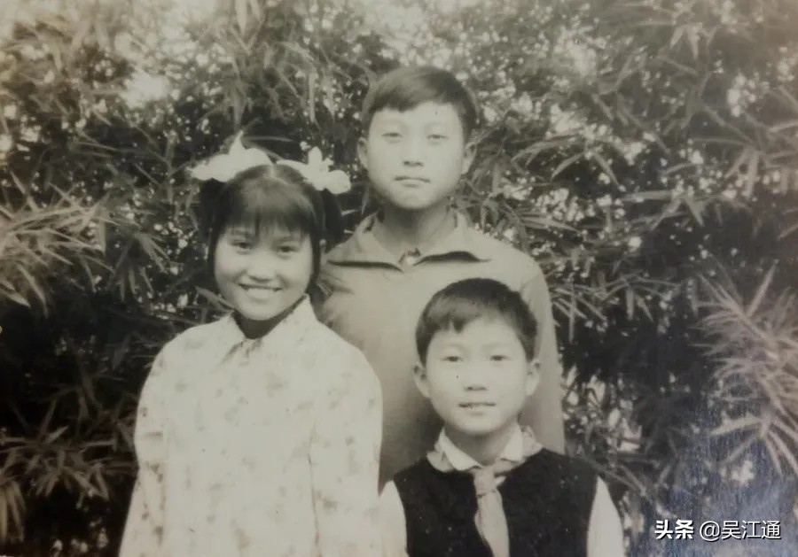 土灶的炊烟视频,一根柴火缕缕乡愁