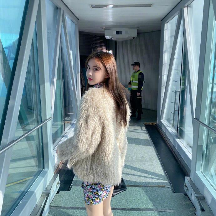 韩安冉带女儿上学,韩安冉培养小猪妹花多少钱