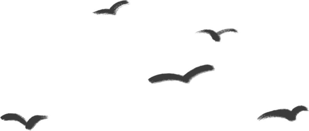 天府旅游美食泸州,天府舌尖旅游攻略