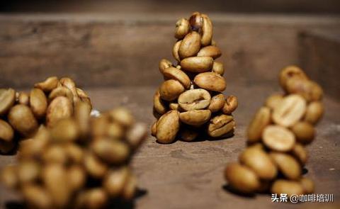 越南的猫屎咖啡怎么样,如何辨别猫屎咖啡真假