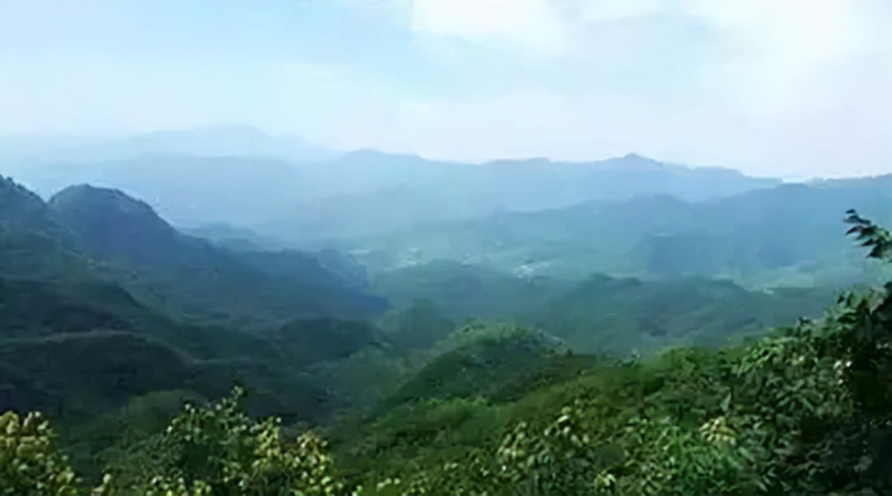 钟期光阔别30年回乡：磕头3次跪谢干父母救命之恩，奉上人参