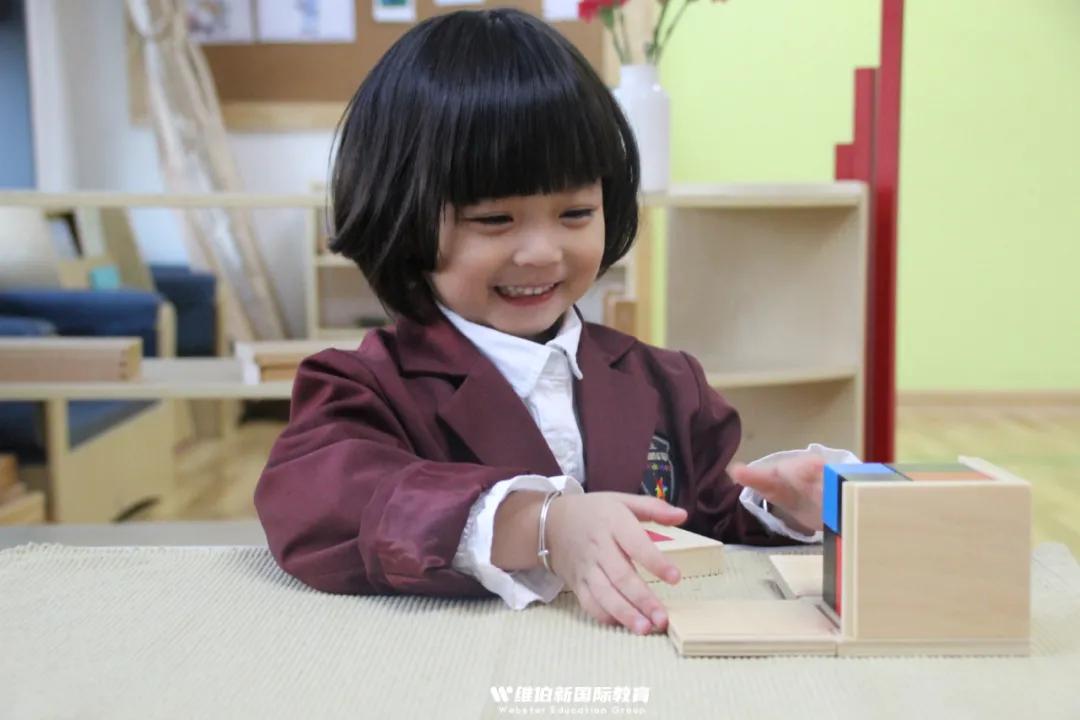 维伯教育可靠吗,维伯教育是什么