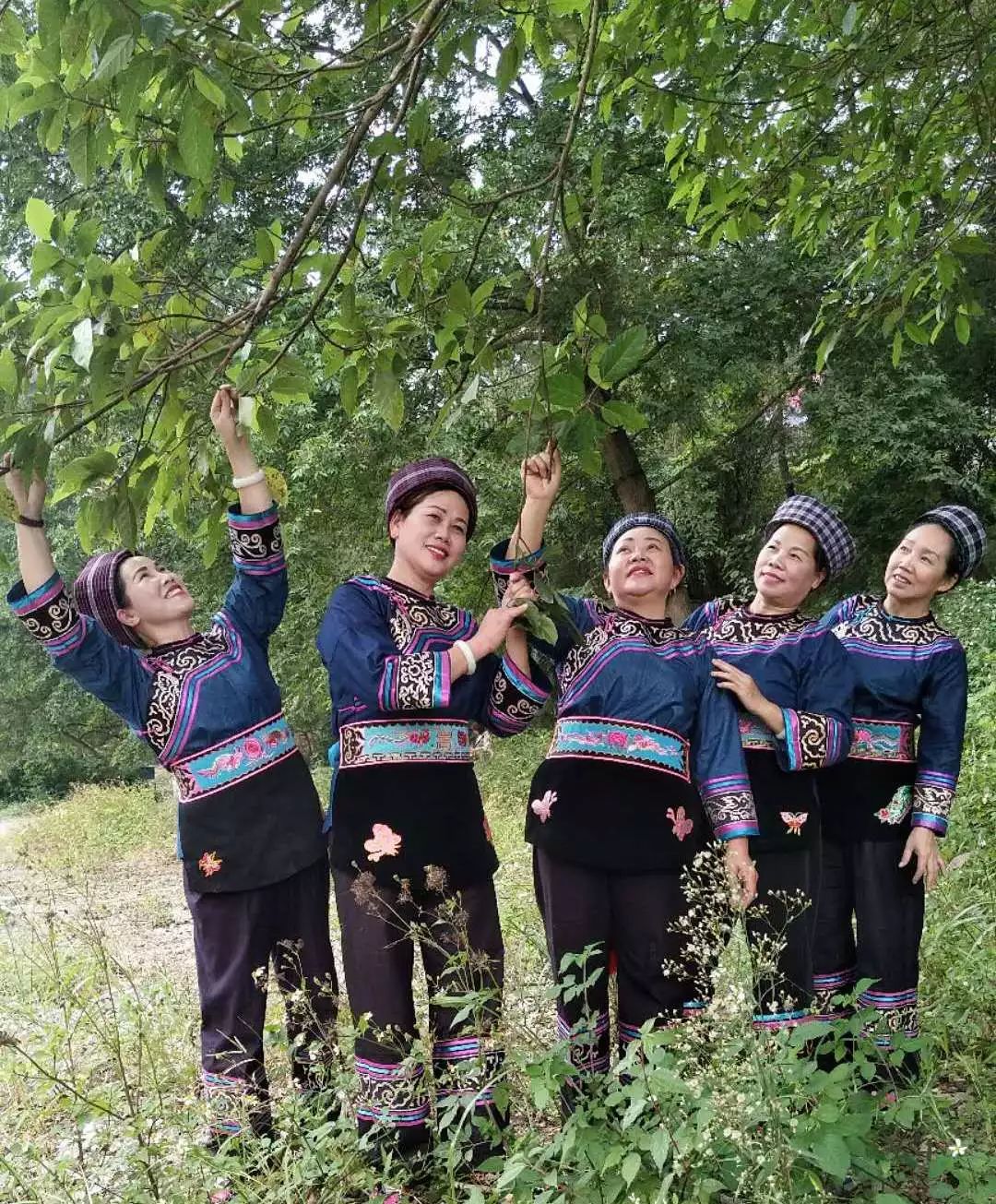 天峨蓝衣壮族服饰,天峨县蓝衣壮族服饰制作技艺来历