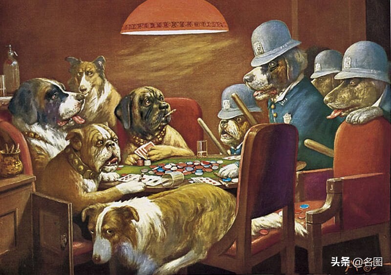 狗玩扑克牌视频,狗玩扑克