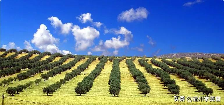 西班牙冷知识视频,西班牙冷知识100个