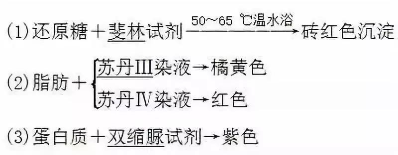 云南高中会考生物实验操作,生物显微镜实验视频高中