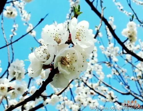 环境工程就业前景张雪峰,环境工程就业广吗